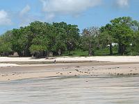 Plage à marée basse